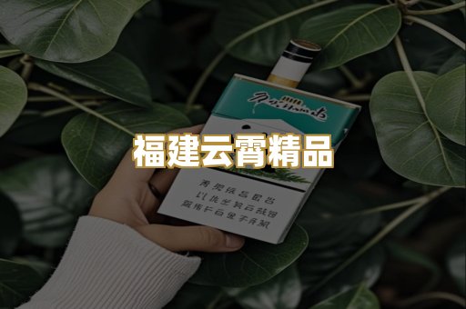 福建云霄精品